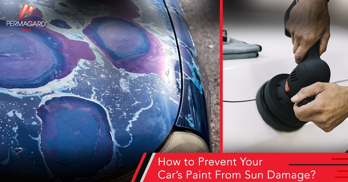 How to Prevent Sun Damage to Your Car’s Paint? Permagard India